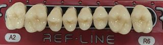 REF-LINE Teeth Upper Posteriors Size-Q-F
