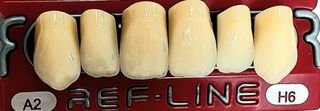 REF-LINE Teeth Anteriors Size-N,W