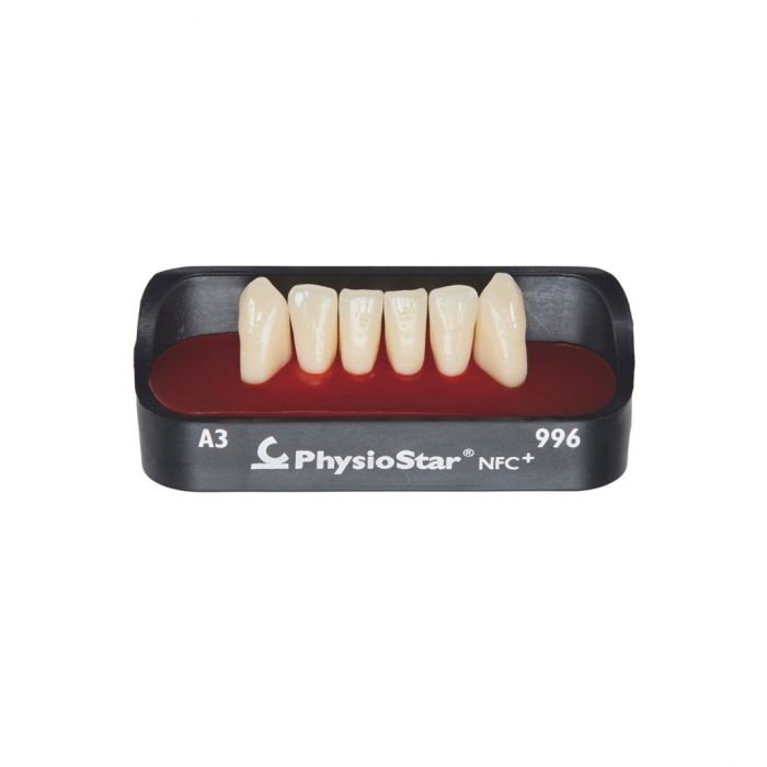 CANDULOR TEETH - Physiostar NFC+ LOWER ANTERIORS