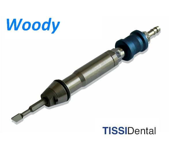 Woody Pneumatic Chisel with Air Valve 40202001