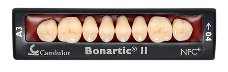 BONARTIC® II NFC+ Posteriors 2