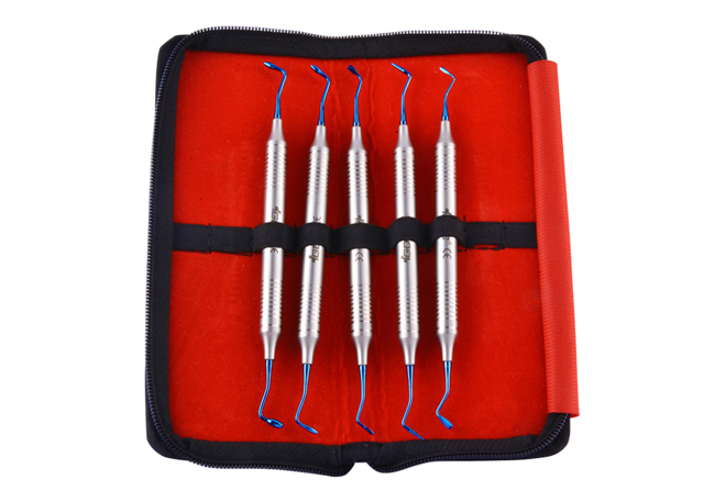 COMPOSITE INSTRUMENTS POSTERIOR BLUE IN POUCH