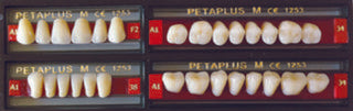 PETAPLUS Teeth Size-LOWER POSTERIOR
