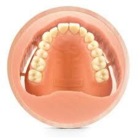 Pink CAD/CAM for Milling Dentures